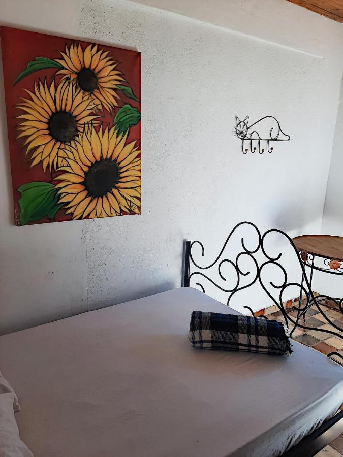 Hospedaria E Hostel Da Deia Ouro Preto  Zewnętrze zdjęcie